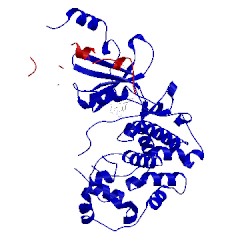 Image of CATH 5bnj