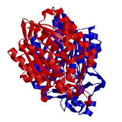 Image of CATH 5bnm