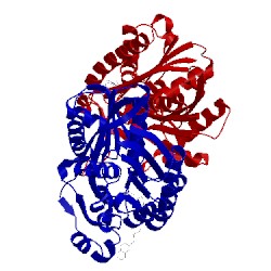 Image of CATH 5bns