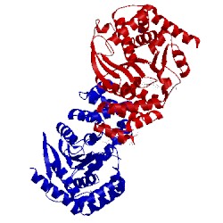 Image of CATH 5bo3