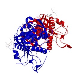 Image of CATH 5bo7