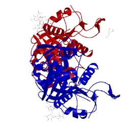 Image of CATH 5bo8