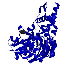 Image of CATH 5bpm