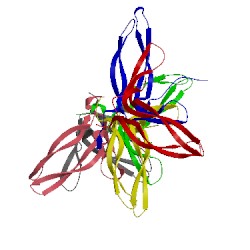 Image of CATH 5bpu