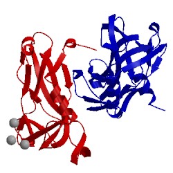 Image of CATH 5bqd