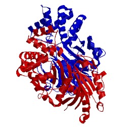 Image of CATH 5brf