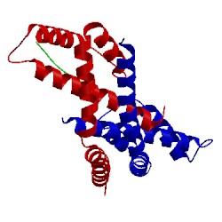 Image of CATH 5bs2
