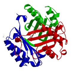 Image of CATH 5bsc