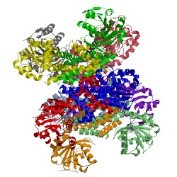 Image of CATH 5bsh