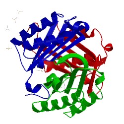 Image of CATH 5bsj