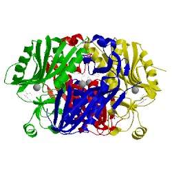 Image of CATH 5bsk