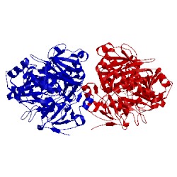 Image of CATH 5bsw