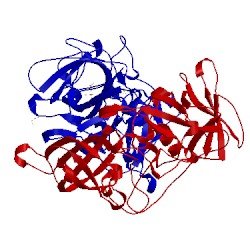 Image of CATH 5bsx