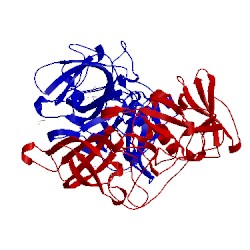 Image of CATH 5bsy