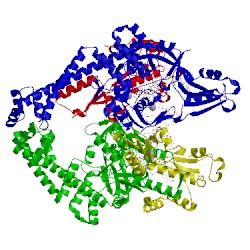 Image of CATH 5btc