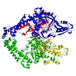 Image of CATH 5btf