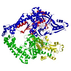 Image of CATH 5btg