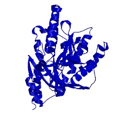 Image of CATH 5bth