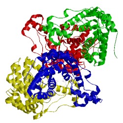 Image of CATH 5bu2