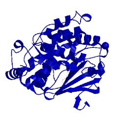 Image of CATH 5bue