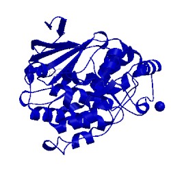 Image of CATH 5bui
