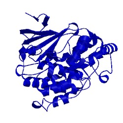 Image of CATH 5buj