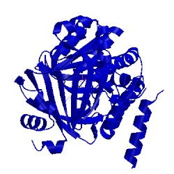 Image of CATH 5bul