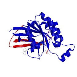 Image of CATH 5bwm
