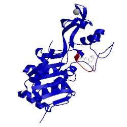 Image of CATH 5bwo