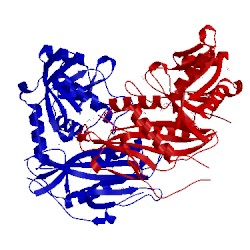 Image of CATH 5bwu