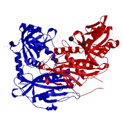 Image of CATH 5bwv