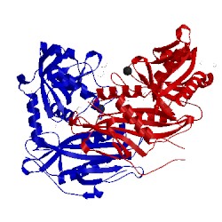 Image of CATH 5bwx