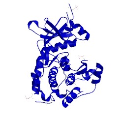Image of CATH 5bx7