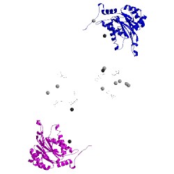 Image of CATH 5bxn