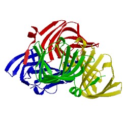 Image of CATH 5bxx