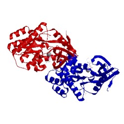 Image of CATH 5c03
