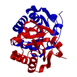 Image of CATH 5c04