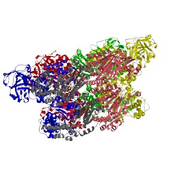 Image of CATH 5c1b