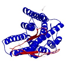 Image of CATH 5c1m