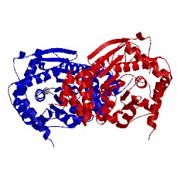Image of CATH 5c2l