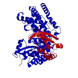 Image of CATH 5c46