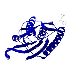 Image of CATH 5c50