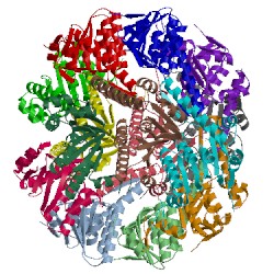 Image of CATH 5c90