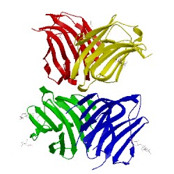 Image of CATH 5cbl