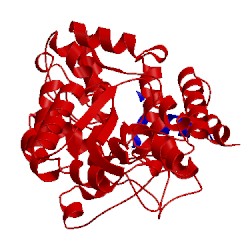 Image of CATH 5cbn