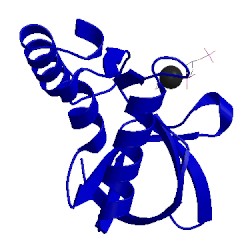 Image of CATH 5cc4
