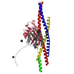 Image of CATH 5cch