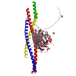 Image of CATH 5cci