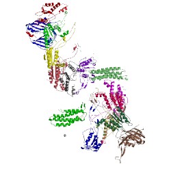 Image of CATH 5cd4