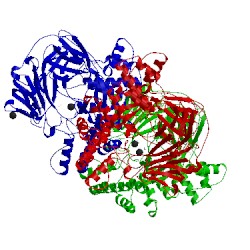 Image of CATH 5cd6